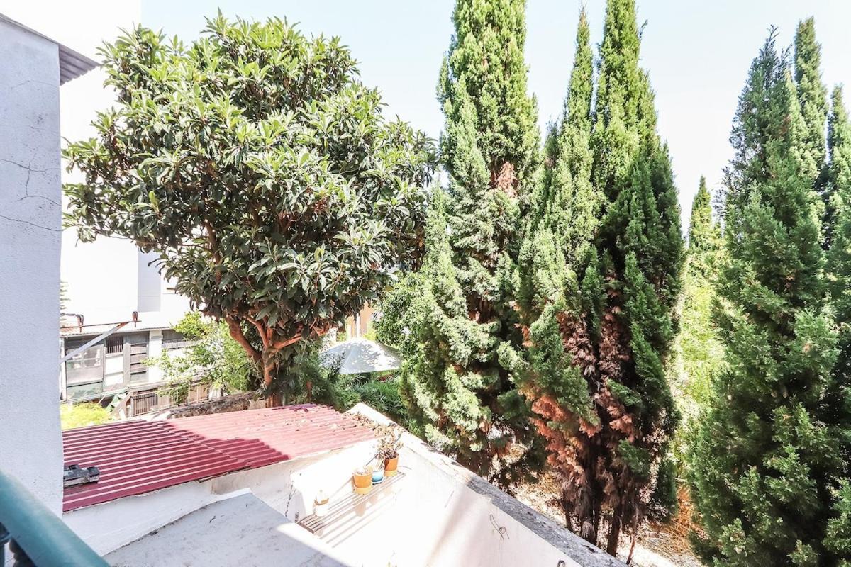 Campo De Ourique Modern Bright With Office Apartment